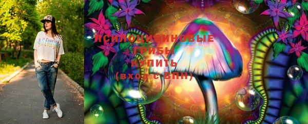 СК Арсеньев