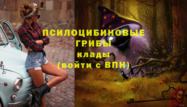 прущие грибы Армянск