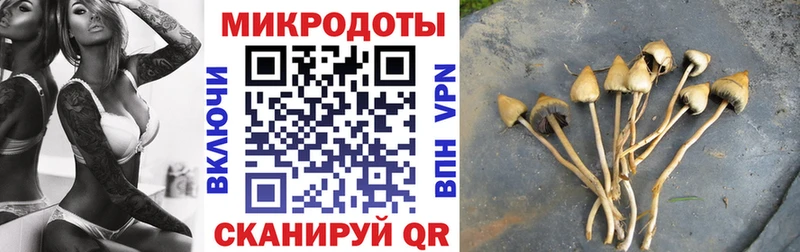 OMG сайт  Джанкой  Галлюциногенные грибы Cubensis 